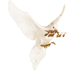 30 DE ENERO: JORNADA ESCOLAR POR LA PAZ Y LA NO VIOLENCIA.